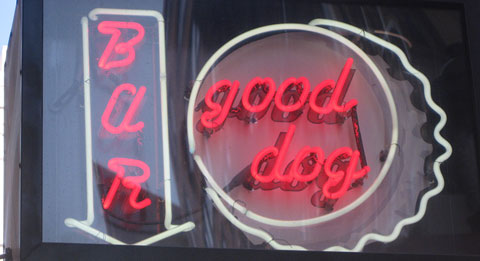 Good Dog Bar